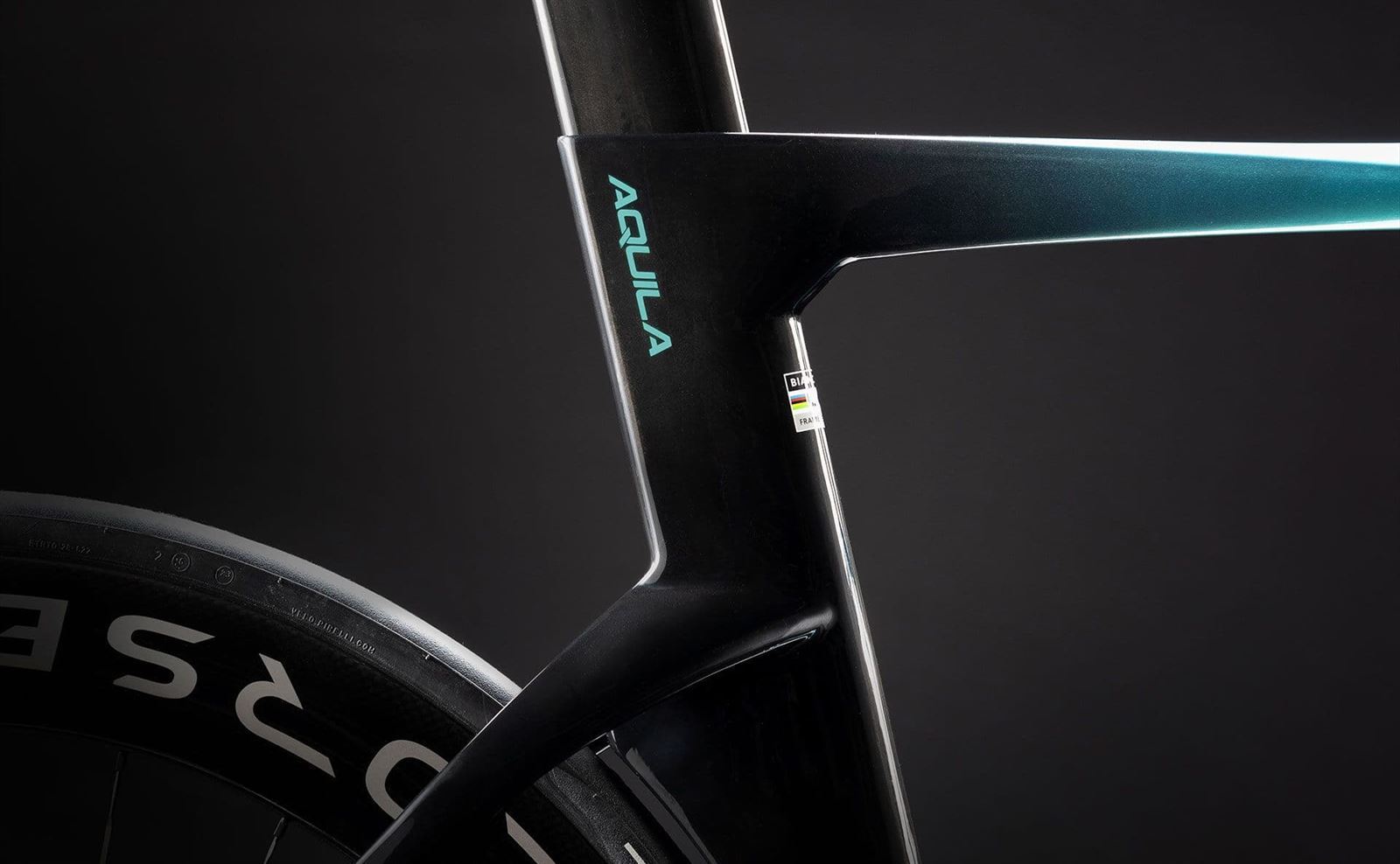 BIANCHI AQUILA KIT DE CUADRO - Imagen 5