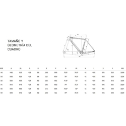 Bicicleta Ciclocrós BIANCHI ZOLDER PRO GRX610 12S CP HDISC CK16 /  Purple Rainbow Full Glossy - Imagen 2