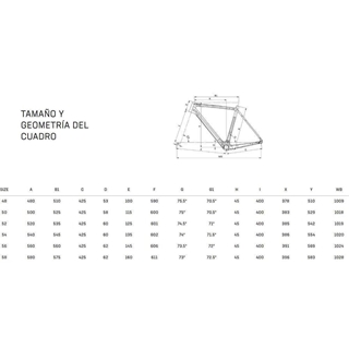 Bicicleta Ciclocrós BIANCHI ZOLDER PRO GRX610 12S CP HDISC CK16 /  Purple Rainbow Full Glossy - Imagen 2