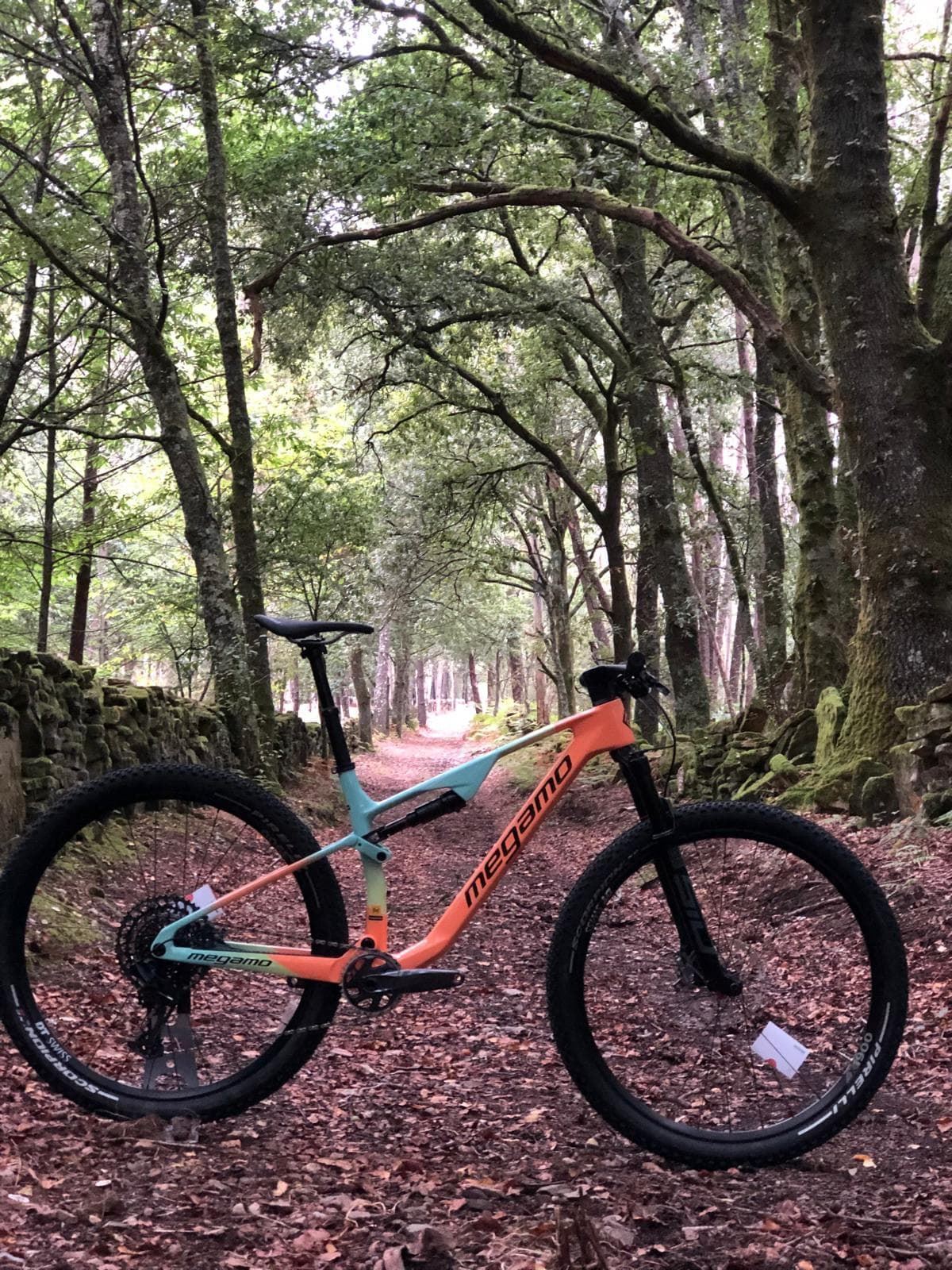 BICICLETA MTB 29¨MEGAMO TRACK BUFF MEGAMO TEAM  2024. AGOTADO! - Imagen 1