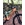 BICICLETA MTB 29¨MEGAMO TRACK BUFF MEGAMO TEAM  2024. AGOTADO! - Imagen 2
