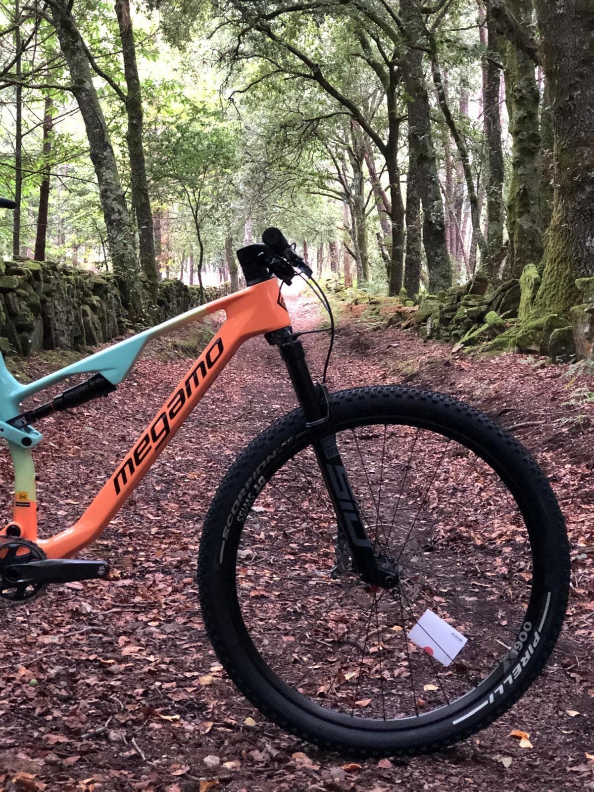 BICICLETA MTB 29¨MEGAMO TRACK BUFF MEGAMO TEAM  2024. AGOTADO! - Imagen 5