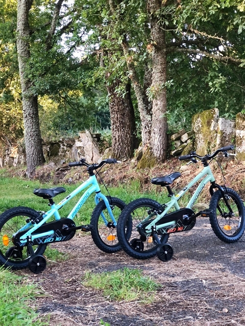BICIS INFANTILES