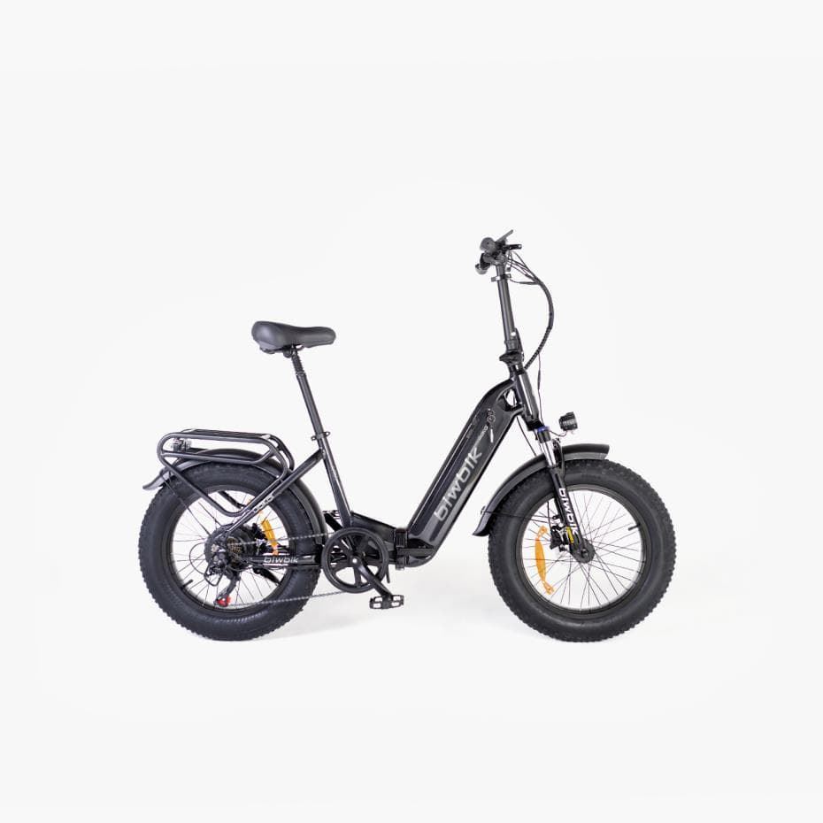 BIWBIK DAKAR E-BIKE 748Wh - Imagen 4