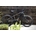 E-Bike MTB 27´5¨ MEGAMO RIDON HT 630 05 (23) - Imagen 1