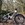 E-Bike MTB 27´5¨MEGAMO RIDON HT 504 10 (24) - BLANCO - Imagen 1