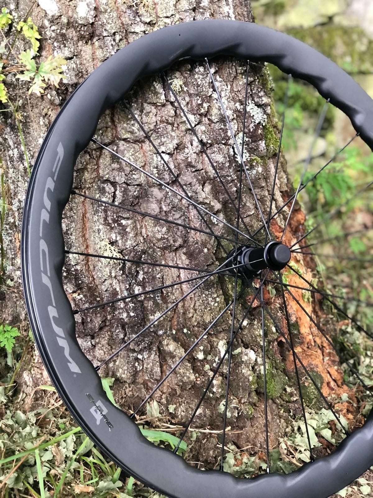 FULCRUM SHARQ XDR (SRAM) Ruedas de carretera - gravel - Imagen 2
