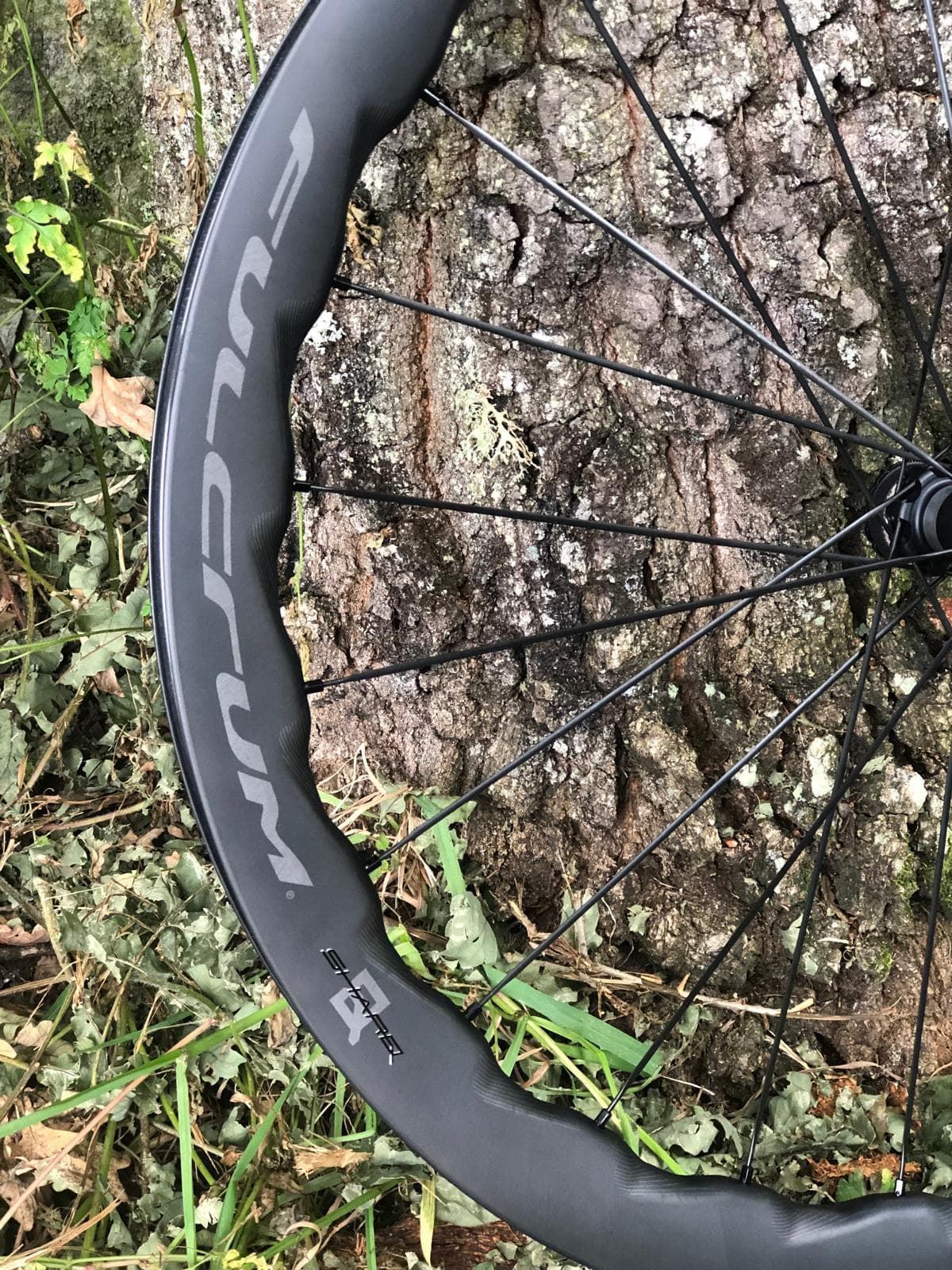 FULCRUM SHARQ XDR (SRAM) Ruedas de carretera - gravel - Imagen 3