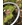 Juego de Ruedas Carretera FULCRUM WIND 42 DB CARBON - SHIMANO - Imagen 2