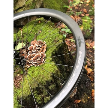 Juego de Ruedas Carretera FULCRUM WIND 42 DB CARBON - SRAM - Imagen 2