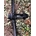 Juego de Ruedas FULCRUM RED ZONE CARBON PLUS + (XD) - Imagen 2