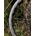 JUEGO DE RUEDAS FULCRUM SHARQ 42 HG11 (SHIMANO) Carretera - Gravel - Imagen 1