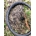 JUEGO DE RUEDAS FULCRUM SHARQ 42 XDR (SRAM) Carretera - Gravel - Imagen 2