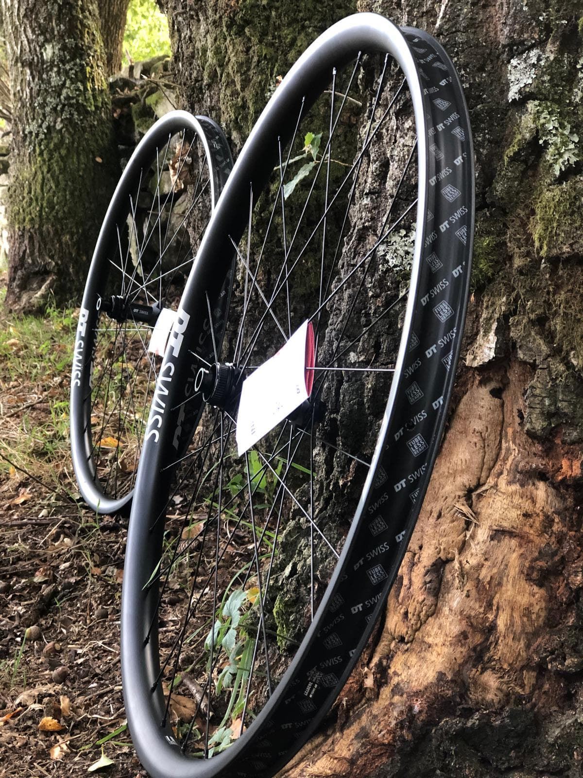 Juego de Ruedas MTB DT SWISS XRC 1501 SPLINE ONE 29 - 30mm (MICROSPLINE) !!!ÚLTIMA UNIDAD!!! - Imagen 4