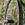 Juego de Ruedas MTB FULCRUM RED ZONE CARBON XD (SRAM) - Imagen 1