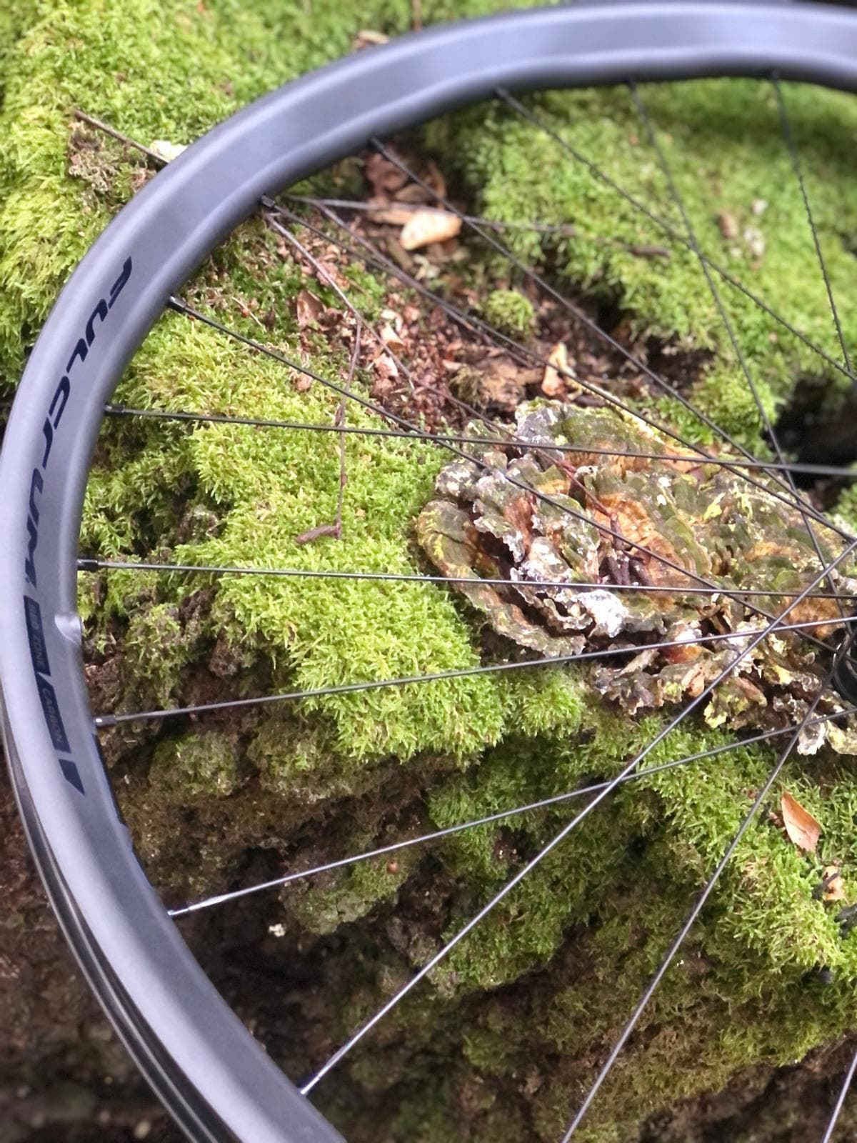 Juego de Ruedas MTB FULCRUM RED ZONE CARBON XD (SRAM) - Imagen 4