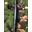 Manillar de Carbono ALPCROSS COMPONENTS DER LENKER (31,8 X 750MM 9º) - Mate - Imagen 2