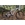 MEGAMO TRACK 02 2026 - Imagen 1
