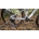 MEGAMO TRACK 02 2026 - Imagen 2