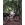 MTB 29¨MEGAMO TRACK Buff Megamo Team Cape Epic. AGOTADO! - Imagen 1