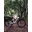 MTB 29¨MEGAMO TRACK Buff Megamo Team Cape Epic. AGOTADO! - Imagen 1