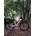 MTB 29¨MEGAMO TRACK Buff Megamo Team Cape Epic. AGOTADO! - Imagen 1
