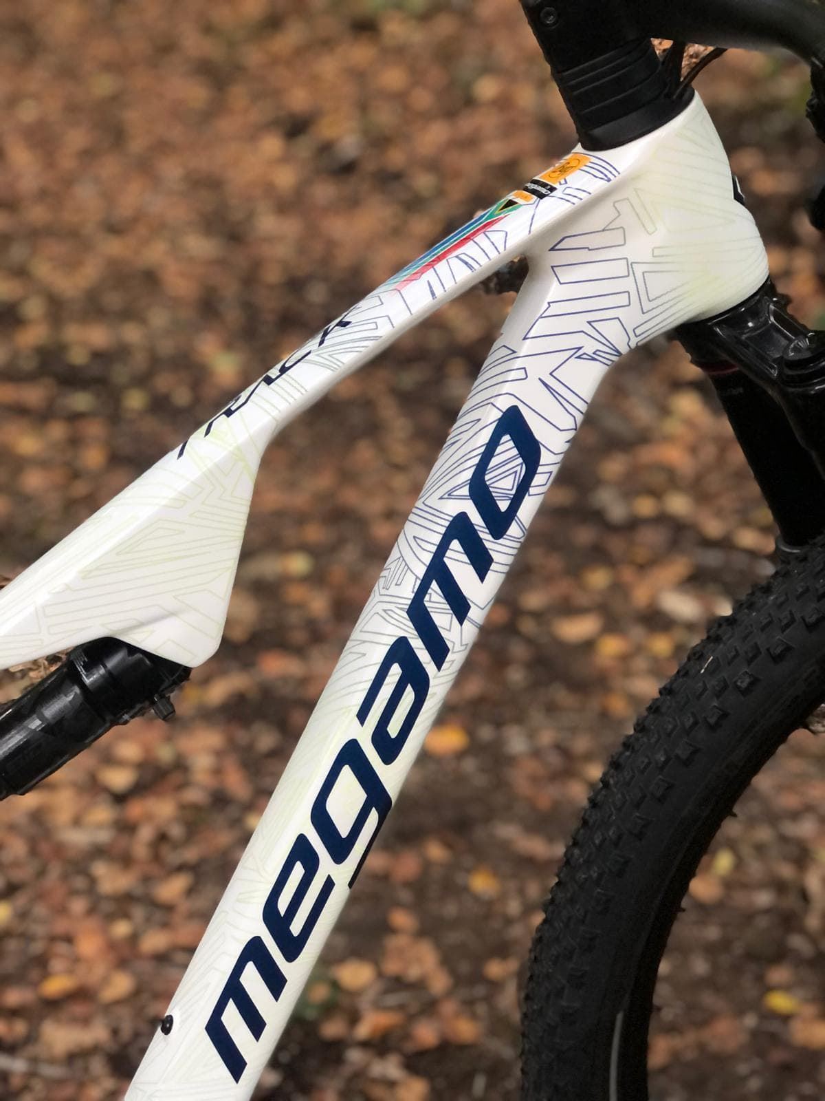 MTB 29¨MEGAMO TRACK Buff Megamo Team Cape Epic. AGOTADO! - Imagen 3
