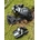 NUEVO GRUPO SHIMANO XTR MTB ELECTRÓNICO 12V XTR 12s GS RD-M9250 - Imagen 1