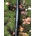 PROMO!!!!! Manillar de Carbono ALPCROSS COMPONENTS DER LENKER (31,8 X 750MM 9º) - Mate - Imagen 2
