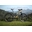 PROMOCIÓN!!!! BICICLETA EBIKE MMR KAIZEN LTD. DORADO OSCURO - Imagen 1