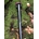 Tija de sillín en carbono ALPCROSS COMPONENTS DIE STÜTZE LT (31,6 X 400MM) - MATE - Imagen 1
