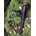 Tija de sillín en carbono ALPCROSS COMPONENTS DIE STÜTZE LT (31,6 X 400MM) - MATE - Imagen 2