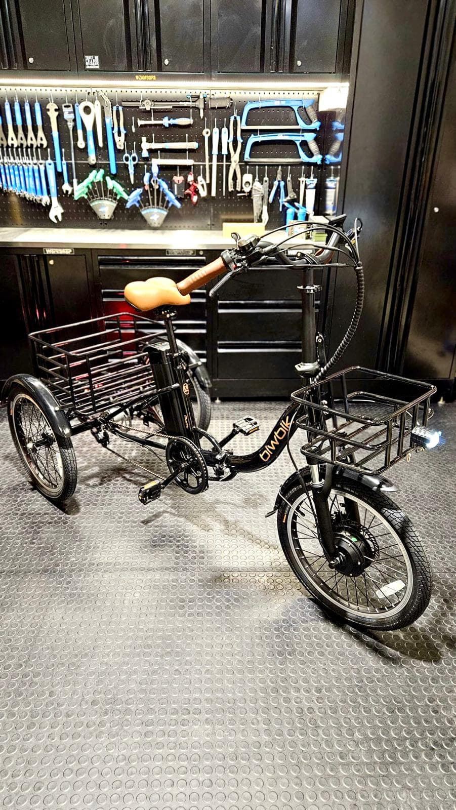 TRICICLO E-BIKE BIWBIK PARIS 12Ah CON ACELERADOR EN EL PUÑO - Imagen 2